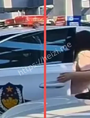 公车私用