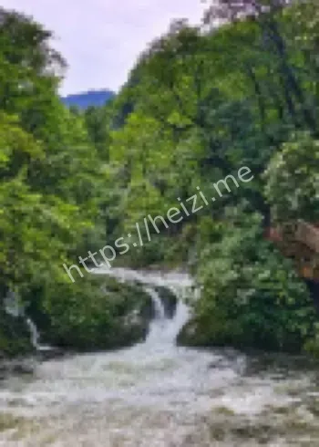 游客维权天价收费经验