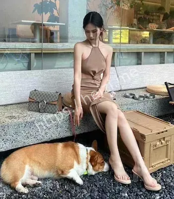刘婉婷