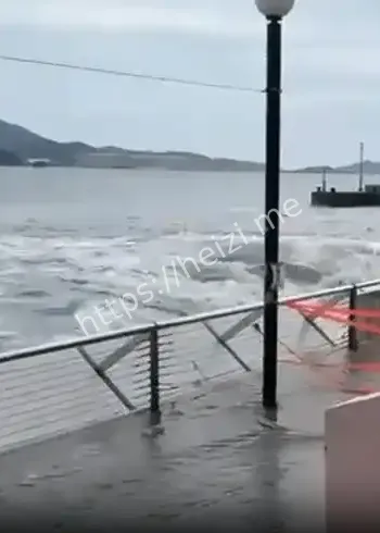 香港柴湾观浪事故