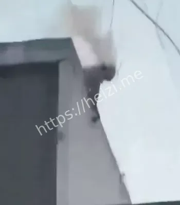 彩票店楼顶触电