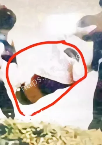 罗大美