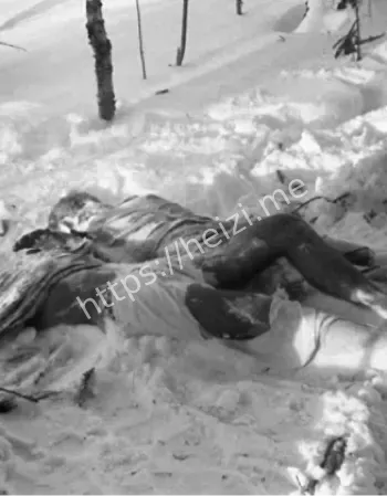 迪亚特洛夫事件