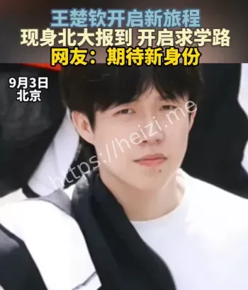 王楚钦
