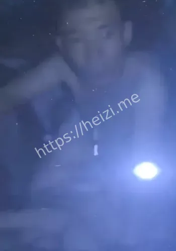 白色速腾视频