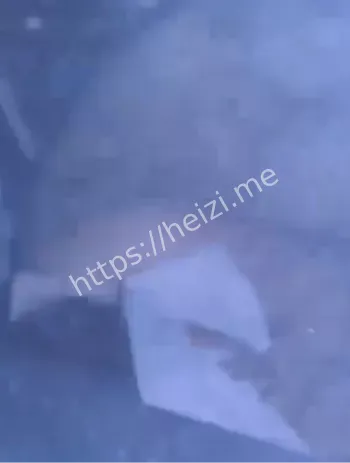 黄骅速腾车震