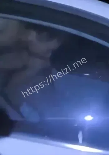白色速腾视频