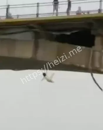 龙柯羽