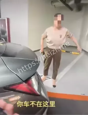 阿姨难缠视频车主怒拒让位