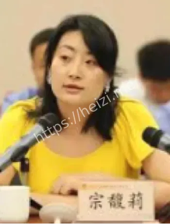 娃哈哈集团管理架构调整