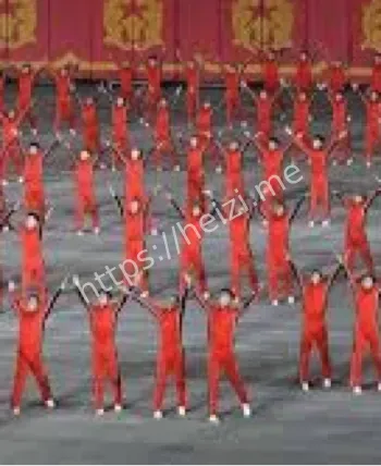 朝鲜劳动党80周年庆典中俄外交合作