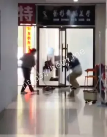 野猪闯舞蹈室