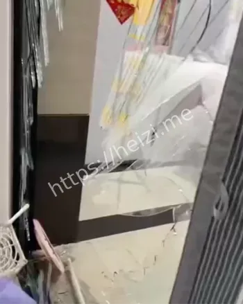 野猪闯舞蹈室