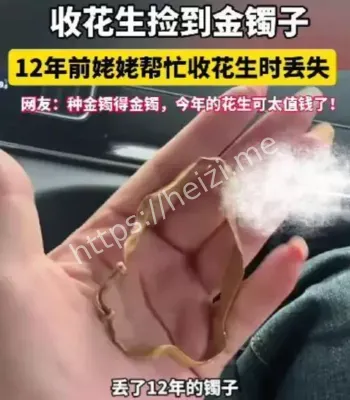 收花生找到金镯子