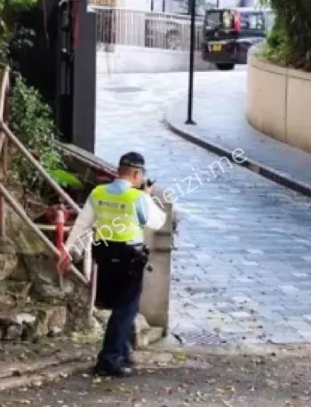 香港寿山花园母女双亡案