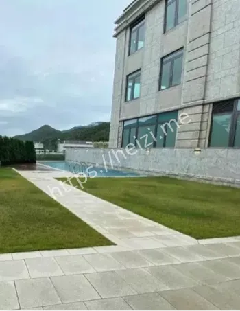 香港寿山花园母女双亡案