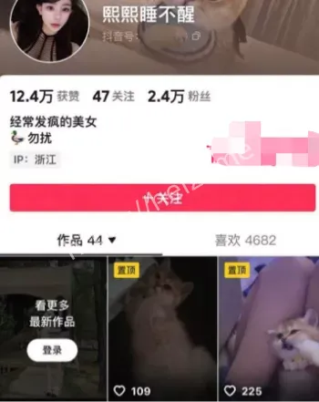 杭州赵某凤卖淫翻车