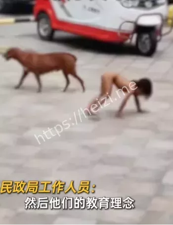 雅西高速服务区野人孩子