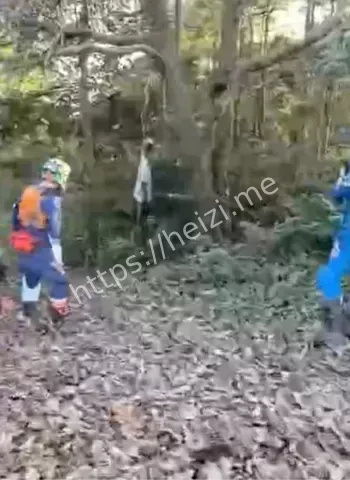 户外发现遗体的正确做法