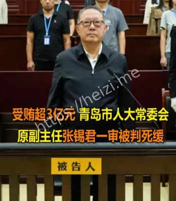 张锡君贪腐案