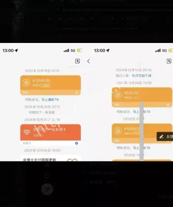 网络情感骗局警示案例