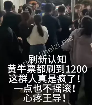 山东日照音乐节