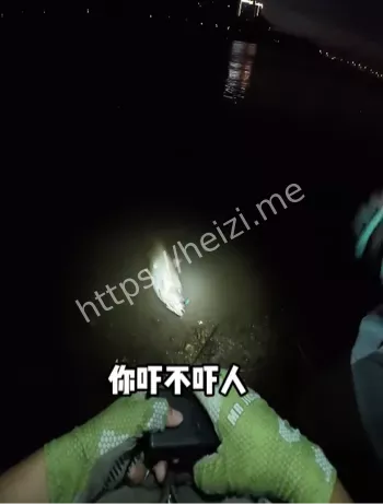 钓鱼顶流
