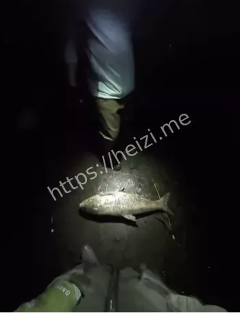 收杆就走