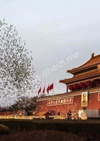 天安门升旗放飞和平鸽