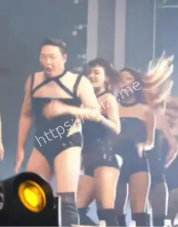 鸟叔PSY演唱会大秀舞姿粉丝反应