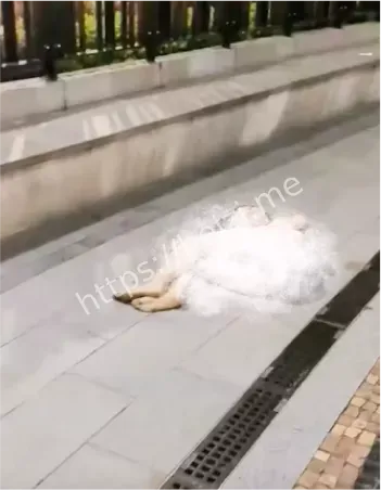 25岁女子扶梯跌倒受伤