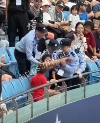 赛事管理