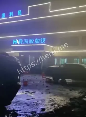 橡胶集团偷砍槟榔树内幕