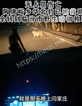 山西霍州