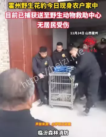视频曝光