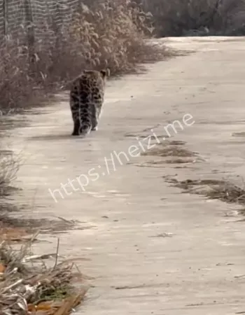 山西霍州