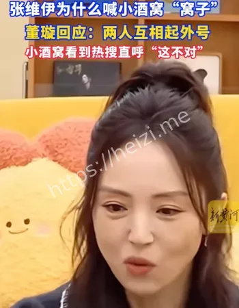 董璇小酒窝子