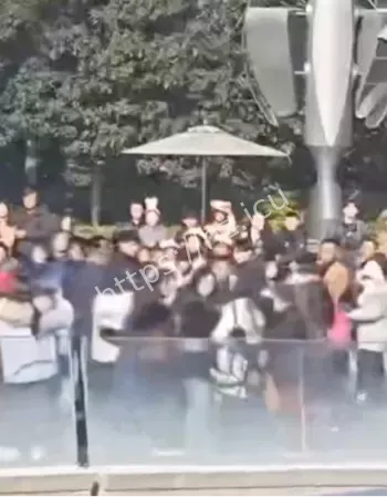 游客群殴冲突事件