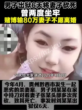 妻子出轨疑虑杀人