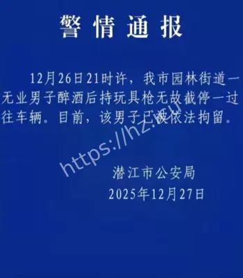 玩具枪拦截车辆