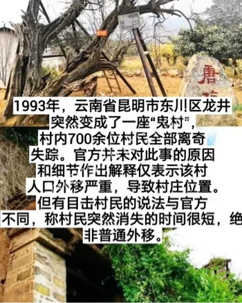 双鱼玉佩复制鱼谜