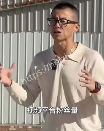 知名车评人陈震偷税