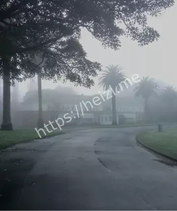 王席特医院裹尸袋视频