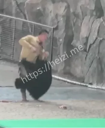 动物园表演事故