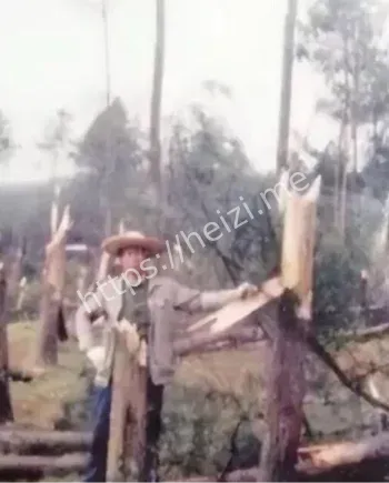 高登民高延津飞行