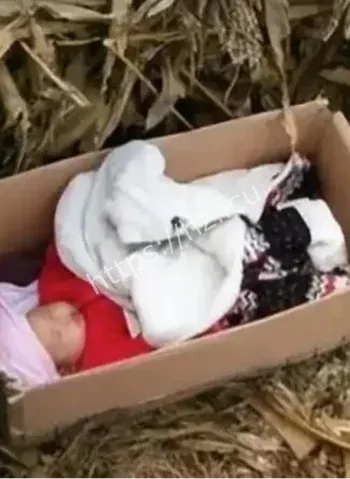 江西99年婴儿失踪案