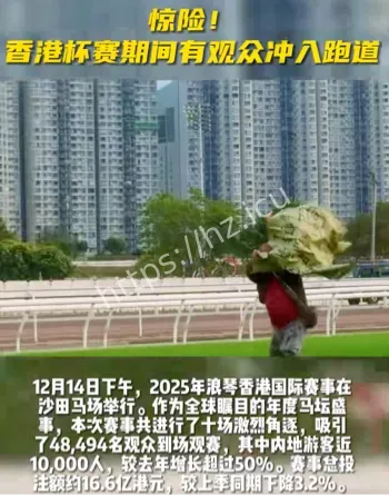 宏福苑火灾彻查标语