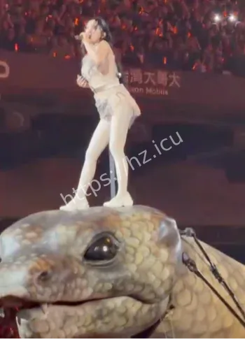 台北大巨蛋跨年秀