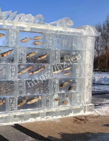 现3米高冰封鱼墙
