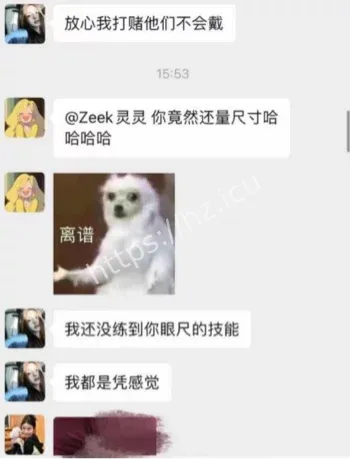 法国留学生姐妹群私密聊天记录